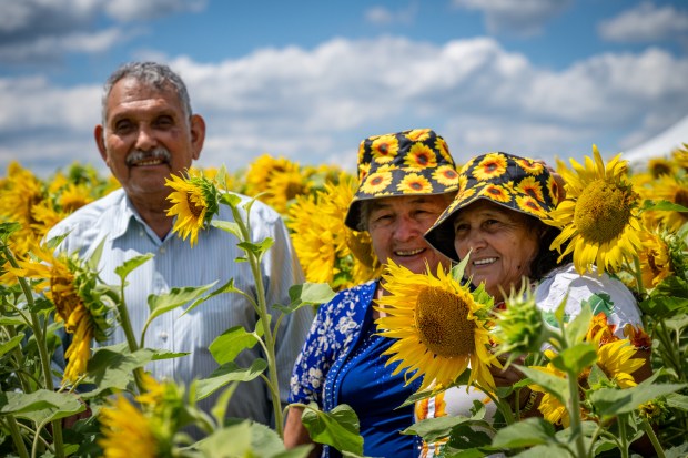 Arturo Sandoval, left, Esperanza de Sandoval from El Salvador and Fidelina López from Honduras pose for photos at the Sunflowers of Lisbon attraction in Howard County while visiting family. (Jerry Jackson/Staff)